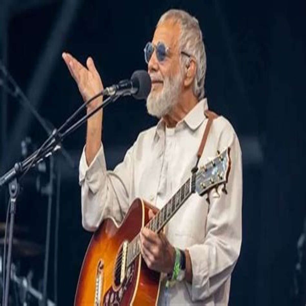 Cat Stevens Net Worth – How Much is Stevens Worth?