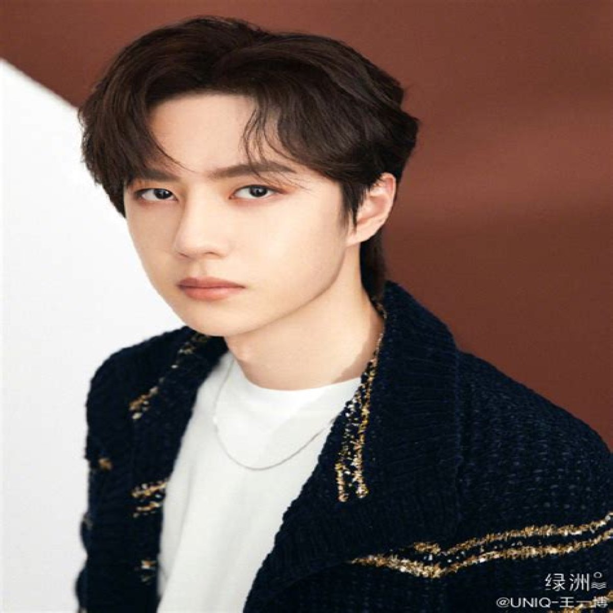 Wang Yibo: The Multifaceted Star Captivating Hearts Worldwide